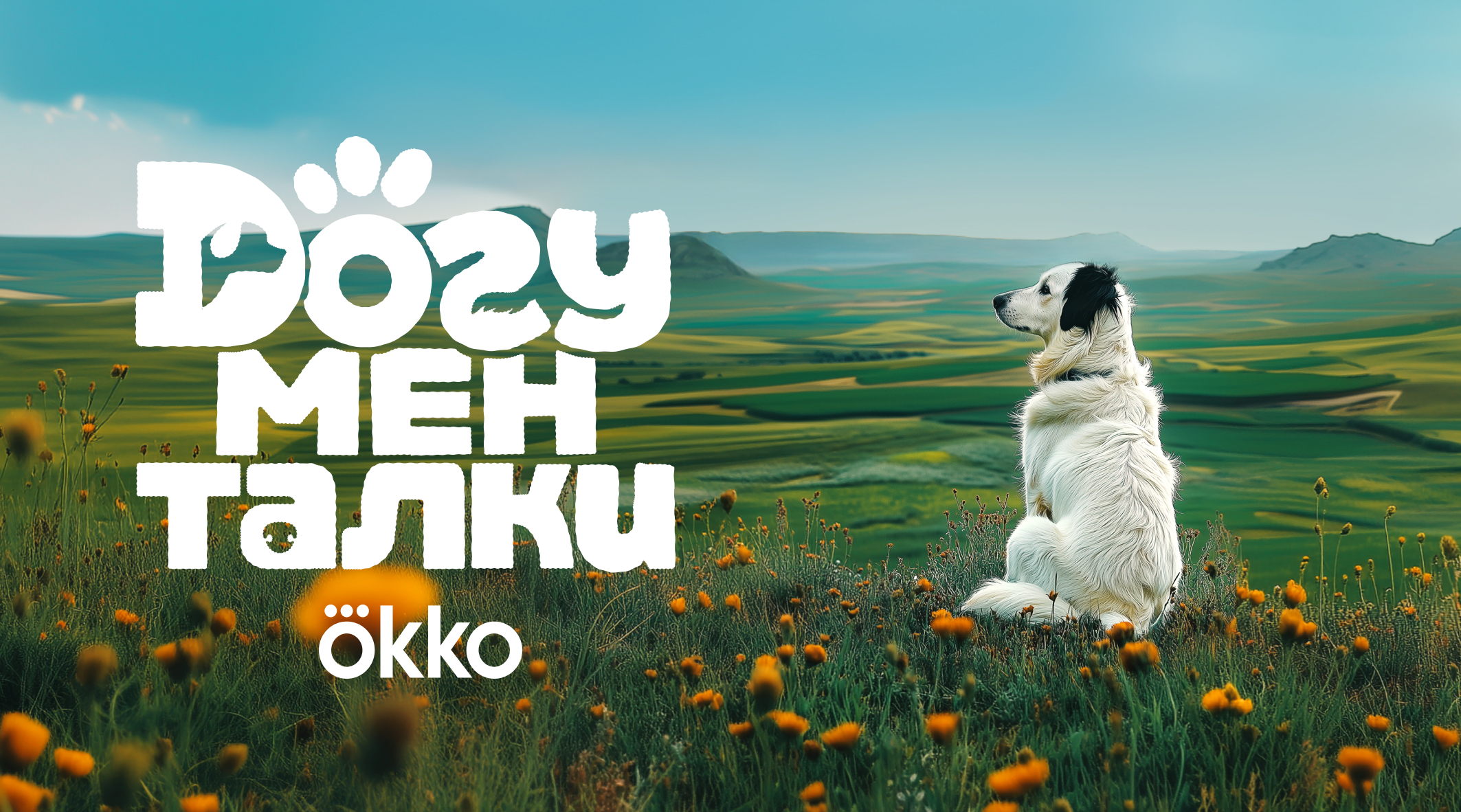 ДОГументалки: первые фильмы для собак