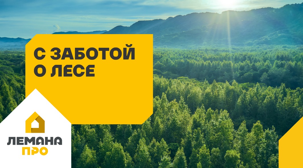С заботой о лесе