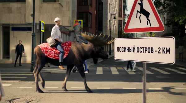 Брусника. Понаехали